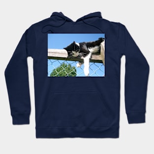 Hanging Out Hoodie